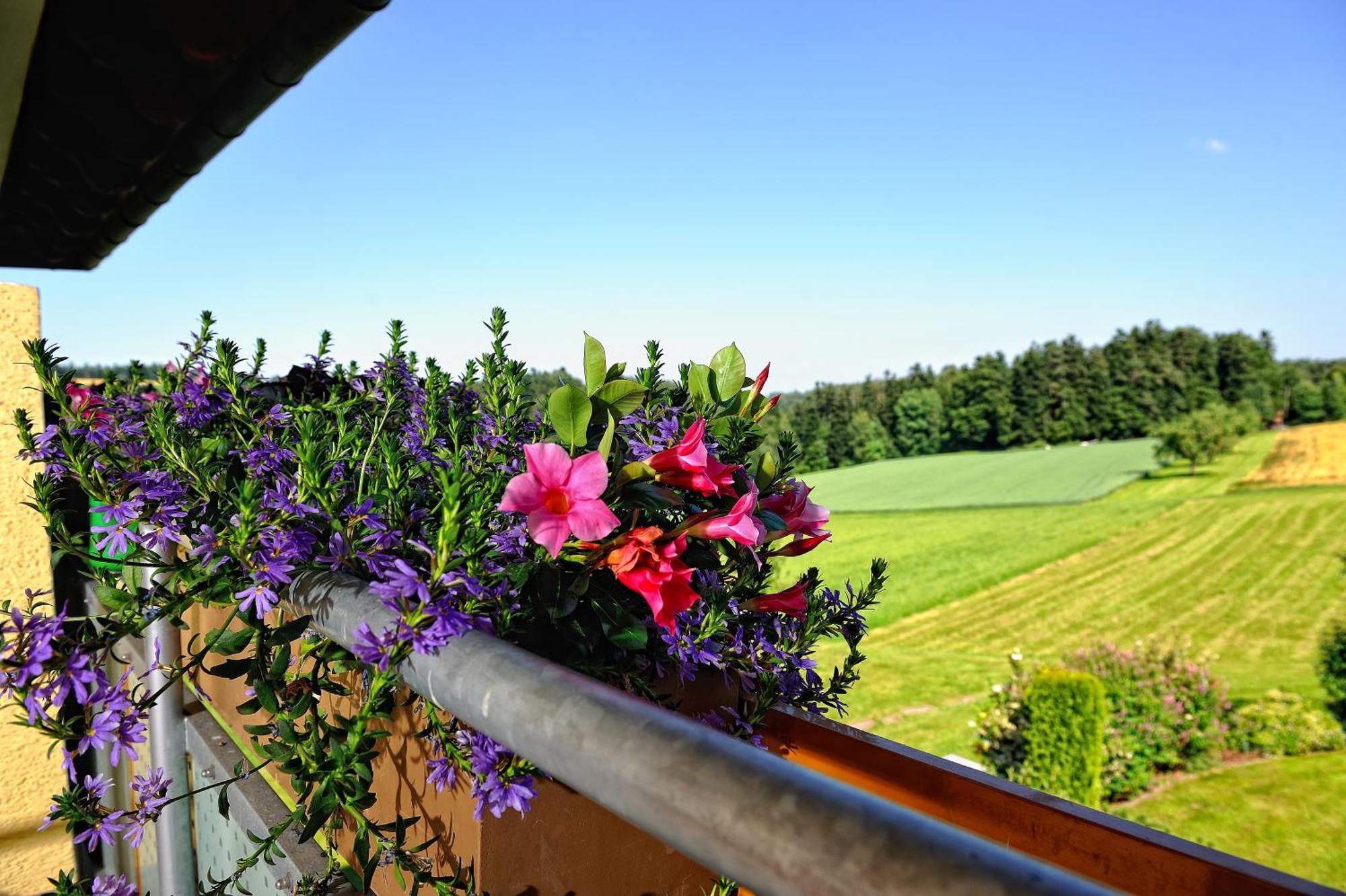 Landhotel Talblick Neuweiler  Eksteriør billede